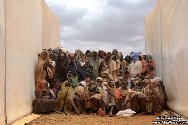 صور حول العالم : طائرة محطمة لتصوير فلم + فهد يهاجم فلاحين .. والمزيد