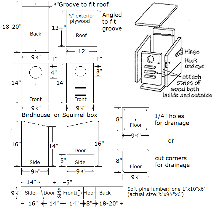 Squirrel Box Plans with Detailed PDF Instructions