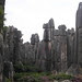 P1010136