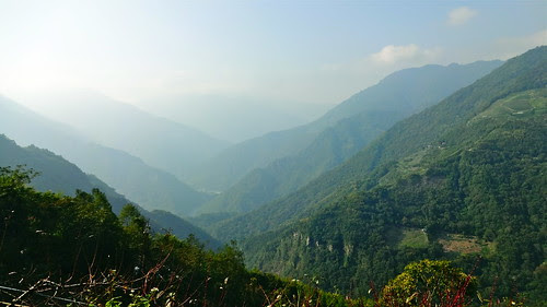 DSC08164