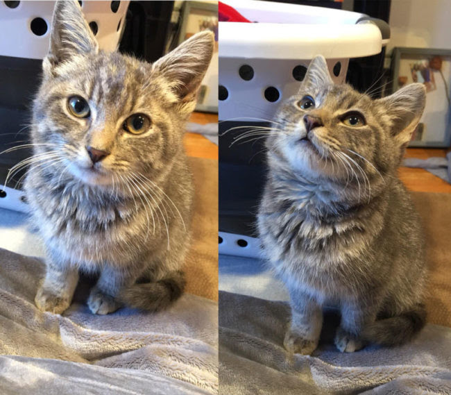 Newest member of my family!