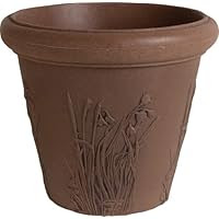 Dynamic Design Wild Flower Premium Poly Planter
