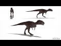 Allosaurus Walk & Run Cycle