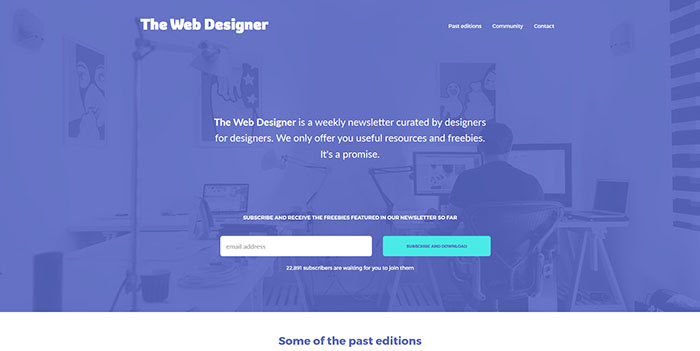 The Web Designer