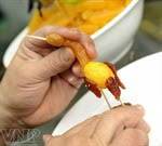 O mai in the Shape of Animals