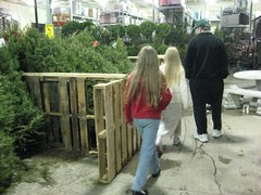 Trees