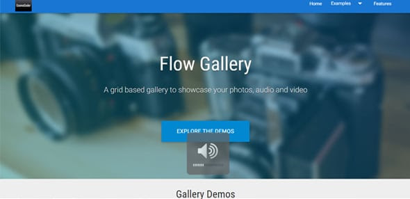 Flow-Gallery---Multimedia-Gallery-Wordpress-Plugin