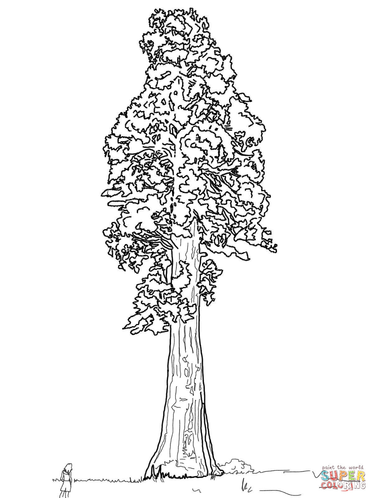 Clicca su disegni da colorare di