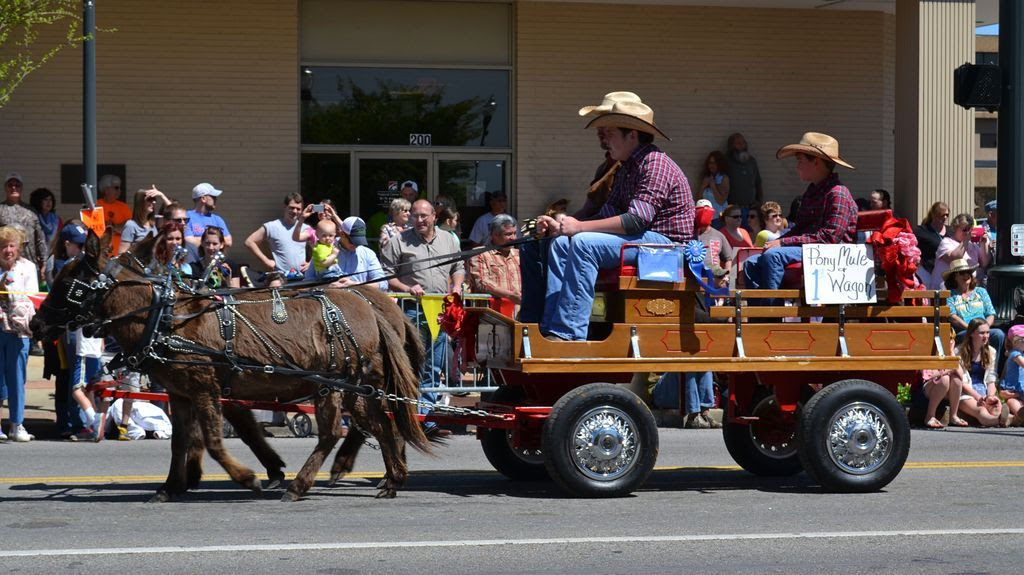 Mule Day photo Mule Day 14_zpsb8rdypik.jpg