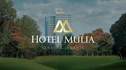 37 Ide Jumlah Kamar Hotel Mulia Senayan
