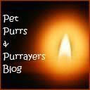 Have a purrayer request?