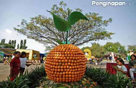 Fasilitas Permainan Penginapan Dan Acara Di Taman Buah