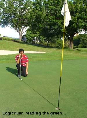 LogicYuan reading the green