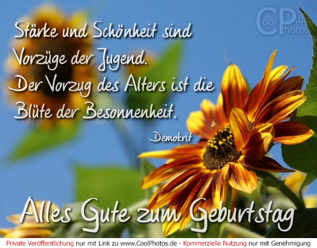 zum geburtstag viel glück that means
