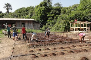 Economista aponta agricultura orgânica como alternativa para município (Foto: Divulgação/ Agência Pará)