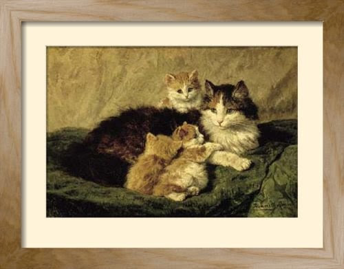 Framed Posters: - Henriette Ronner-Knip Contentment Framed Art Print (59 x 68 cm) 