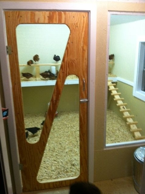 Cat Ideas, Chickens Ducks Farms, Chicken Stuff, Indoor Chicken Coops ...