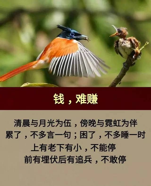 励志名言 不苦不累 人生无味 不拼不搏 人生白活