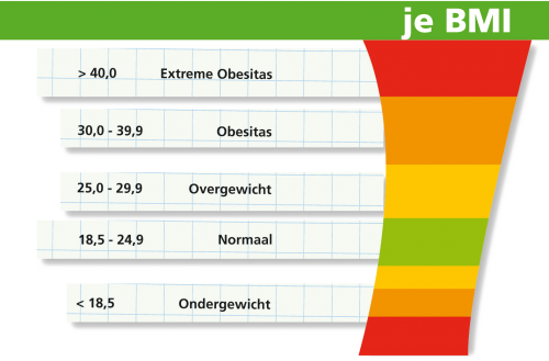 Dikkerds leven even lang, maar met meer problemen