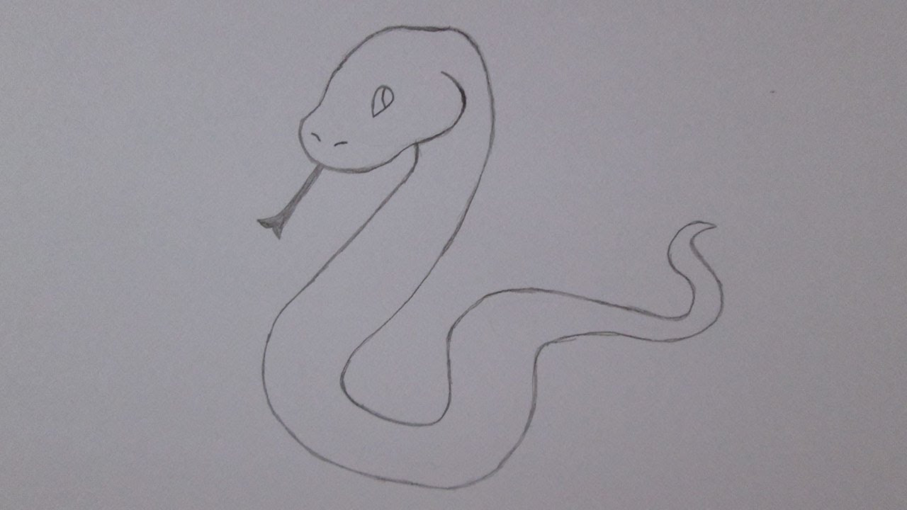 Como desenhar uma cobra  YouTube