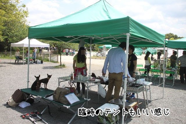 フェンディとママのおうちタイム 昭和記念公園でbbq