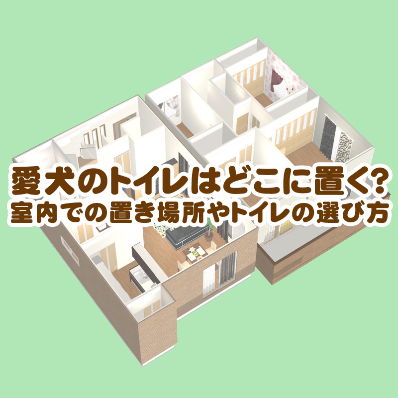 愛犬のトイレはどこに置く 室内での置き場所やトイレの選び方