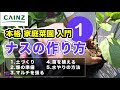 ナス の 種まき 344717