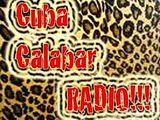 podcast logo