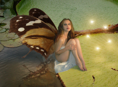 Fairy 2 - detail by ~cj-productions