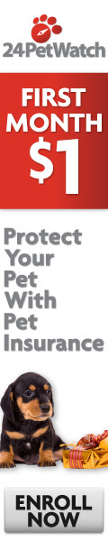 Pet Health Insurance For Cats & Dogs