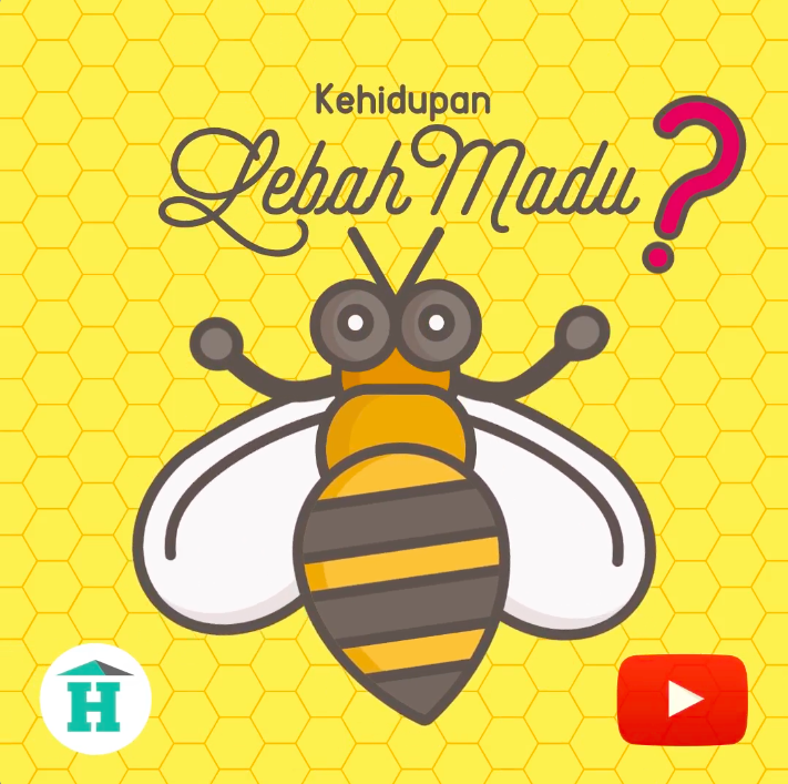 Infografis Animasi Lebah Madu dan Koloninya House of Infografis Animasi Lebah Madu dan Koloninya House of
