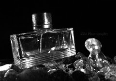 DunHill B&W