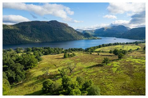 Lake surrounded by green pastures