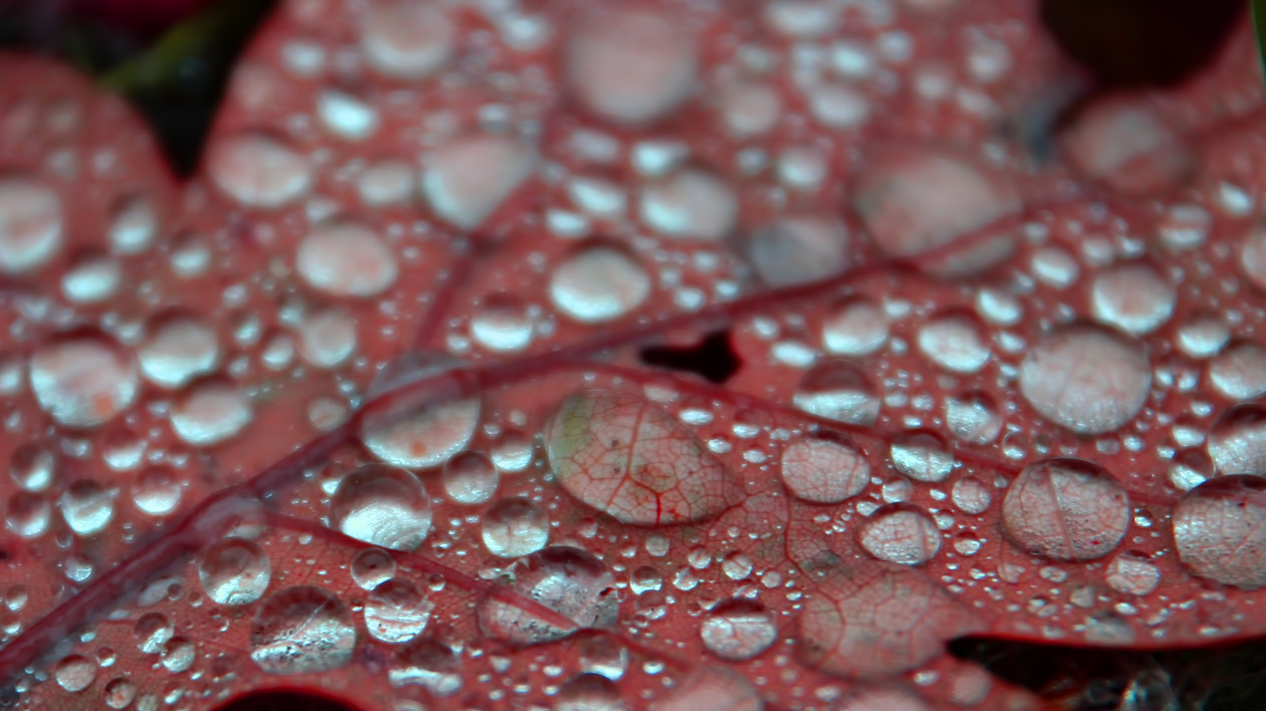water wallpaper for desktop
