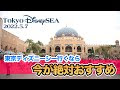 東京 ディズニー シー アラジン 273566-アラジン 劇団四季 キャスト ジーニー