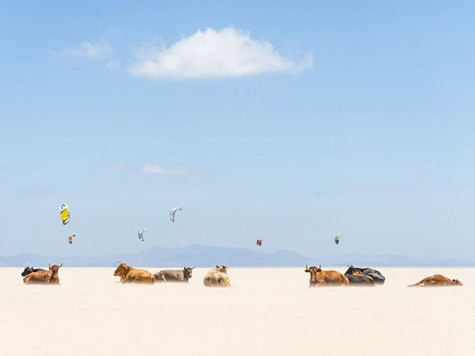 Best Photos of National Geographic December 2013
