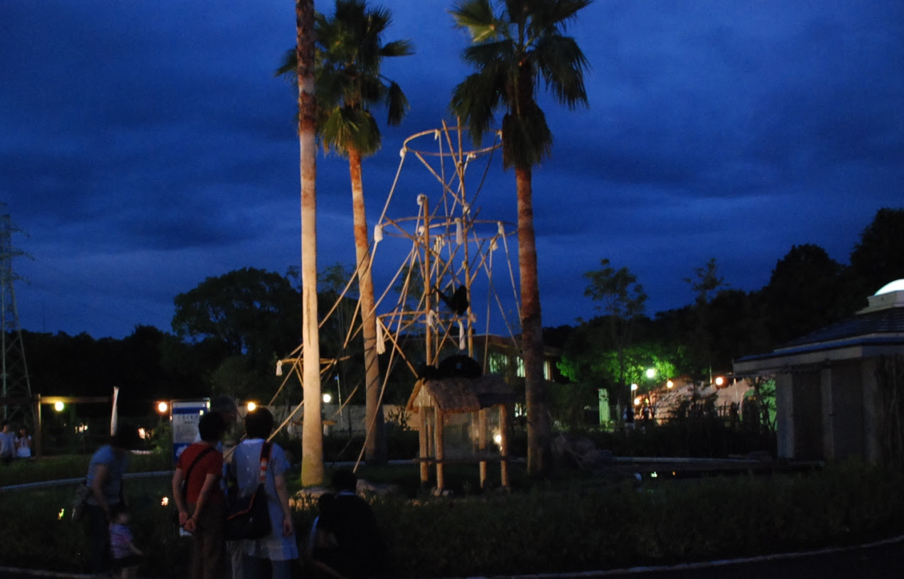 どうぶつえん通りのイベントブログ 熊本市動植物園だより
