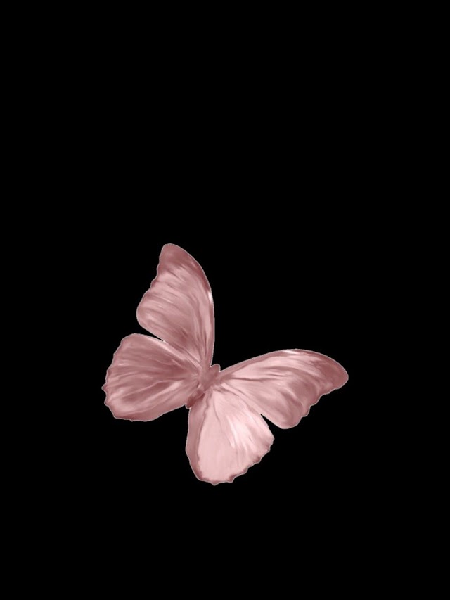 Iphone Butterfly Wallpaper Black Background