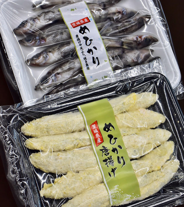 脂の乗りと柔らかさが自慢の メヒカリ Webマガジン いばらきの地魚市場vol 10 いばらきの地魚取扱店サイト