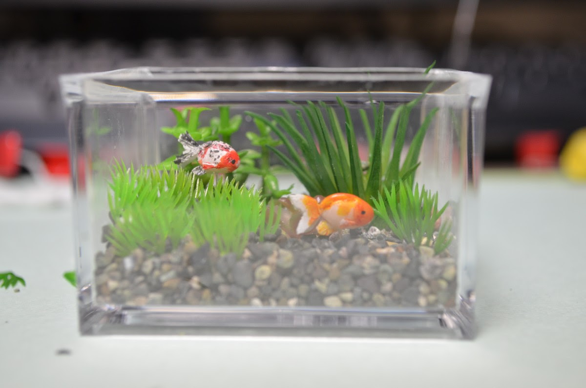 ミニチュア水槽 その２ 水草を植え込み ５１歳からのプラモデル再開日記