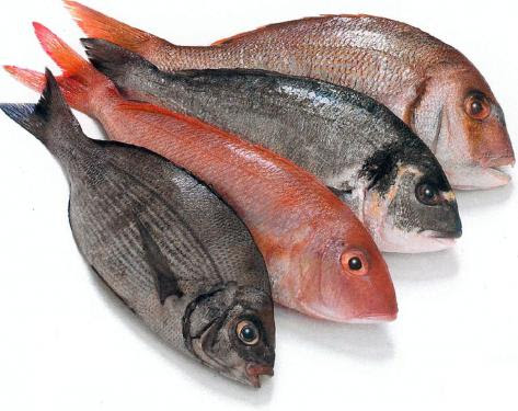 http://modelindo.files.wordpress.com/2010/12/fish_big.jpg