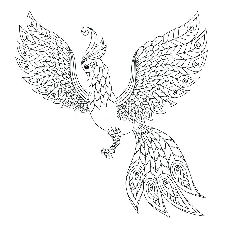 Download Peregrine Falcon Coloring Page at GetColorings.com | Free printable colorings pages to print and ...