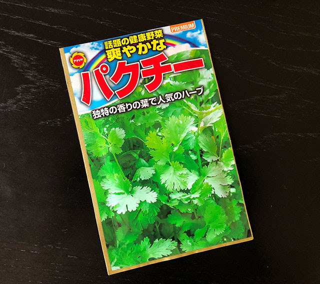 パクチーの芽が出た Simple Life