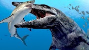 bizarre love triangle lyrics Megalodon VS Mosasaurus. Who Would Win?