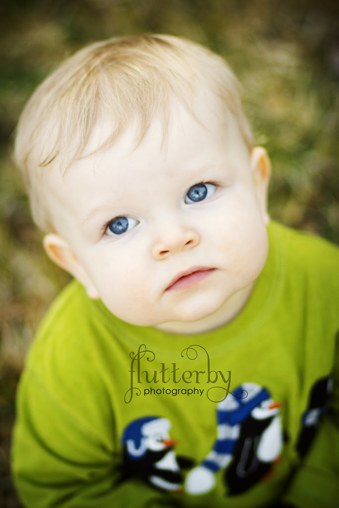 3|53 bokeh