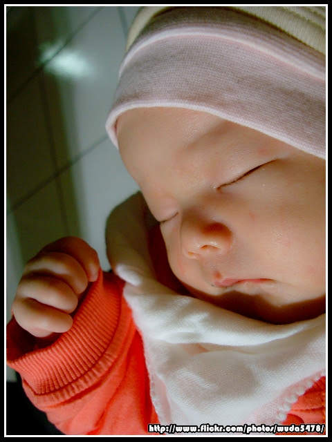 20100203-DSC04033