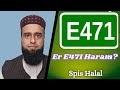 Is E471 Halal Or Haram : Sind Pringles Halal Oder Haram / You can get halal gelatine from pakistan on this number: