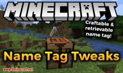 Name Tweaks Mod 1 17 1 1 16 5 Craftable Retrievable Nametag 9minecraft Net