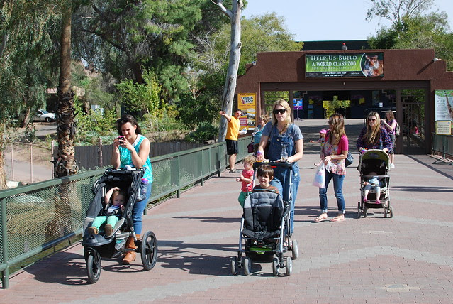 Phoenix Zoo, 2/27/12