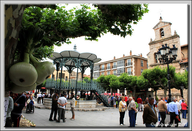 Día de Santiago 7